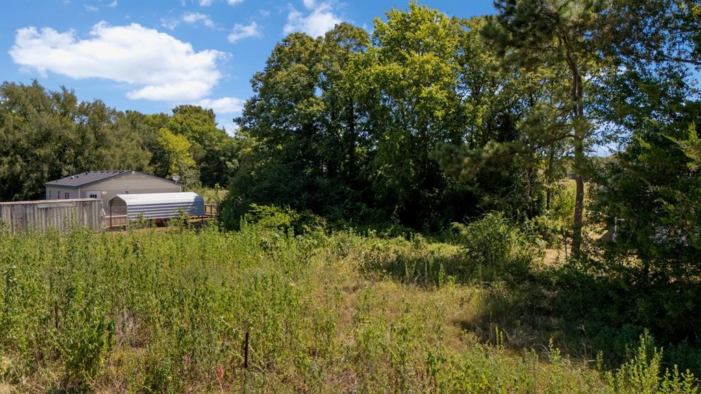 349 Balmorea Drive Property Photo 4