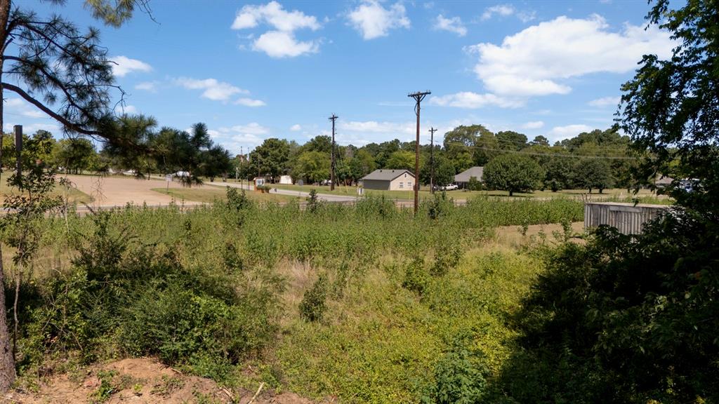 349 Balmorea Drive Property Photo 5