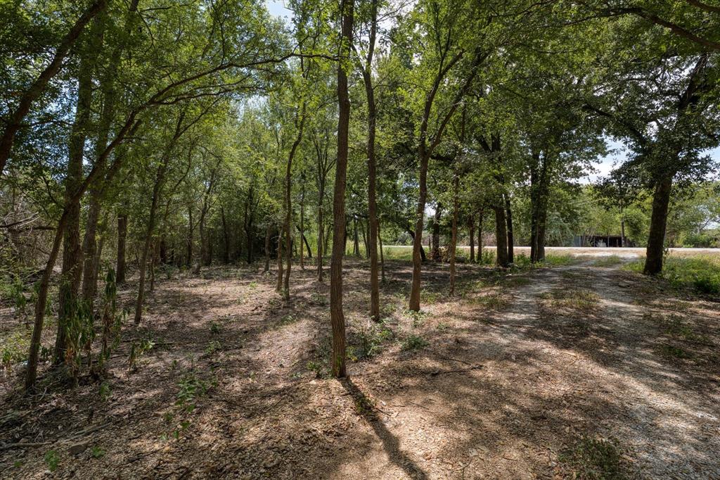 Tbd000 Williams Road Property Photo 1