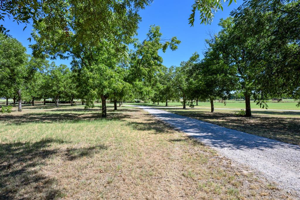 5787 Hwy 377/67 Highway Property Photo 7