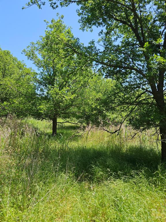 404 Highway 6 Property Photo 8