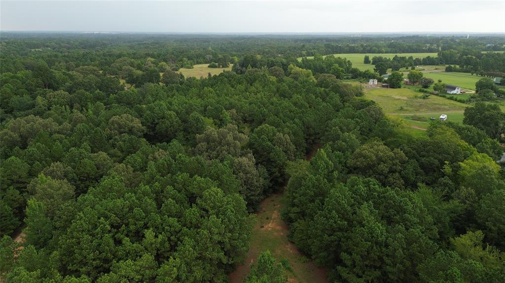 13814 Fm 1716 Property Photo 1