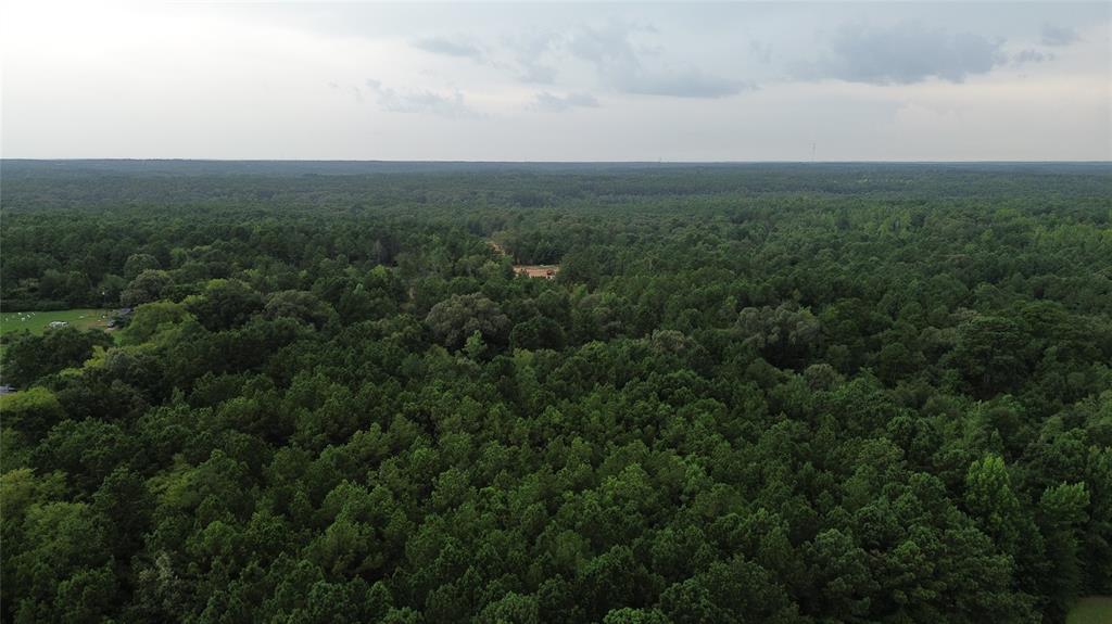 13814 Fm 1716 Property Photo 3
