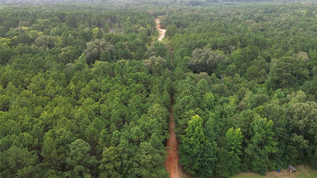 13814 Fm 1716 Property Photo 4