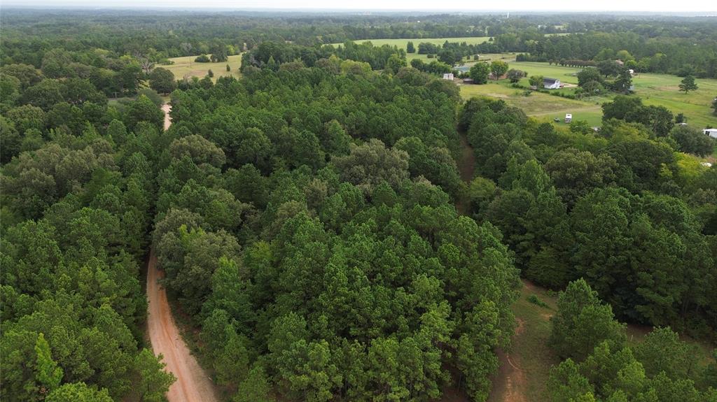 13814 Fm 1716 Property Photo 8