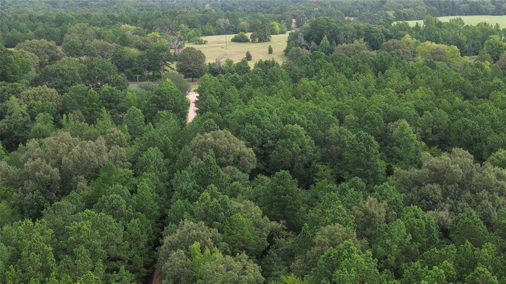 13814 Fm 1716 Property Photo 9