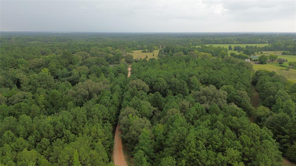 13814 Fm 1716 Property Photo 10