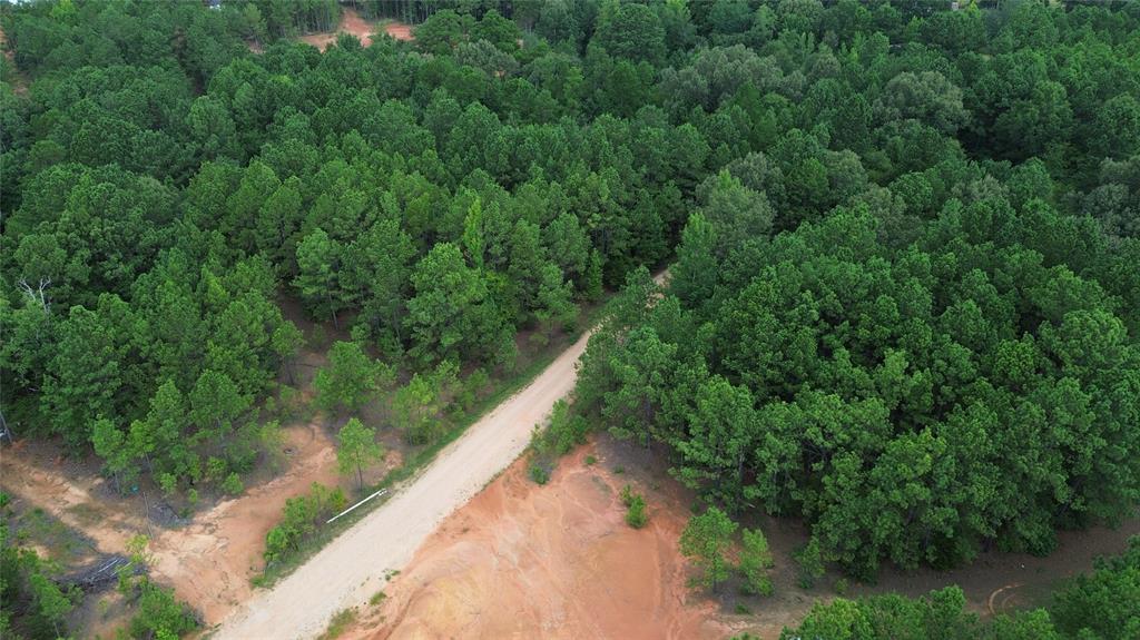 13814 Fm 1716 Property Photo 11