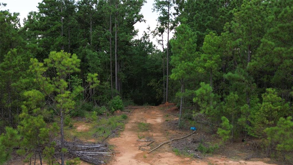13814 Fm 1716 Property Photo 13
