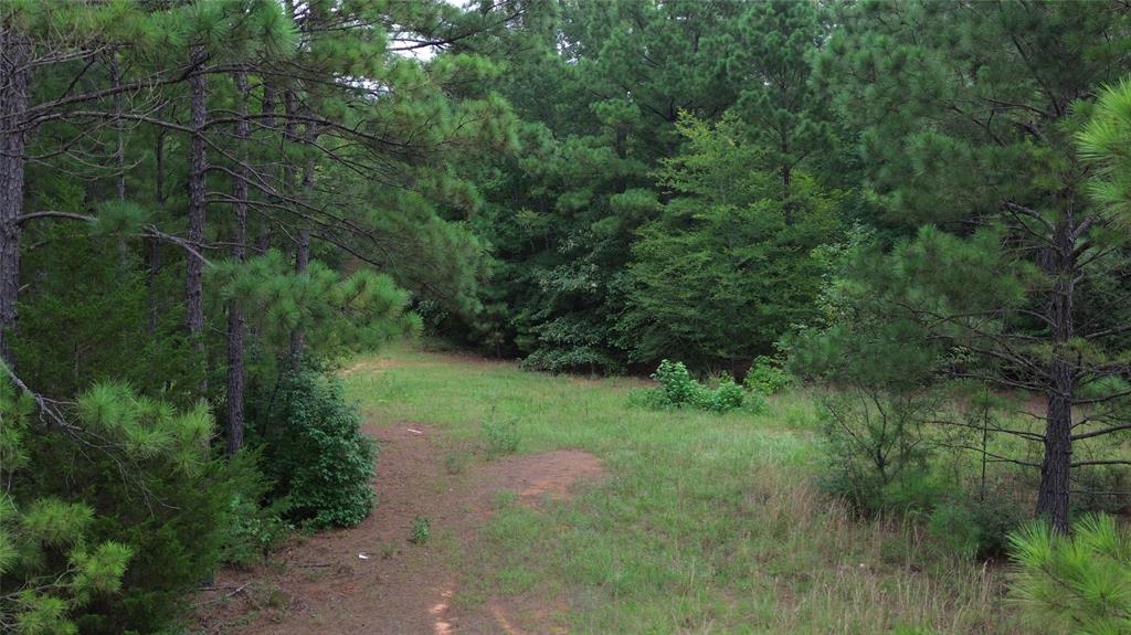 13814 Fm 1716 Property Photo 14