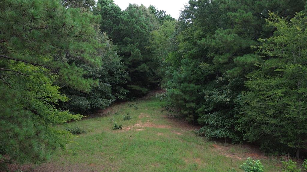 13814 Fm 1716 Property Photo 15