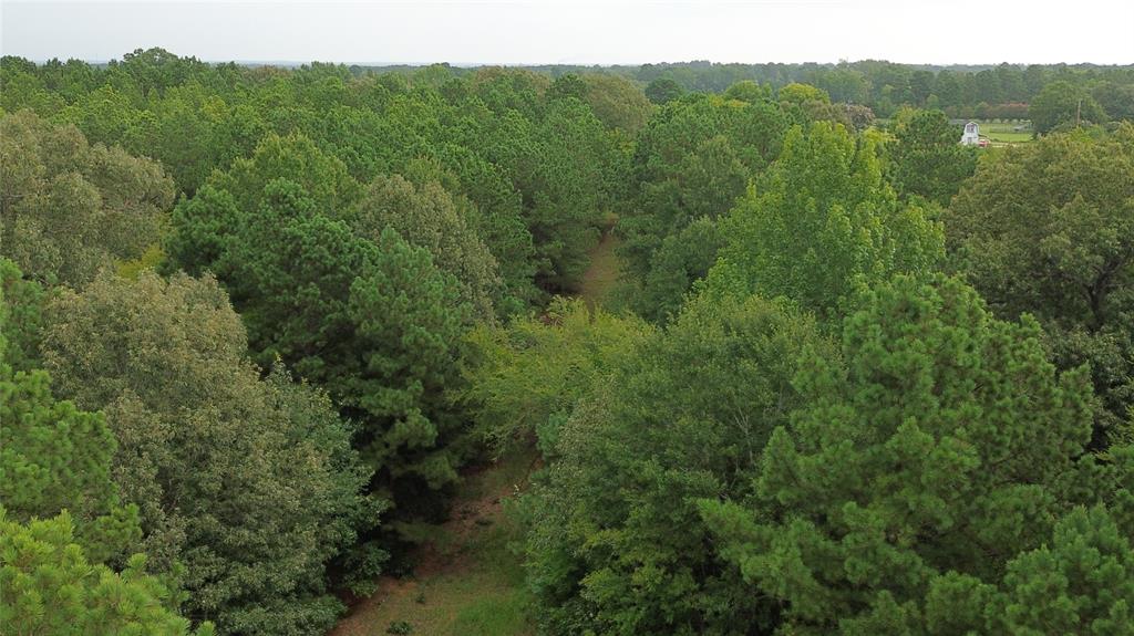 13814 Fm 1716 Property Photo 16