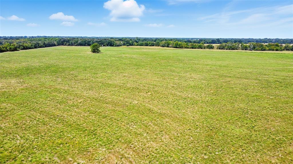 9620 Farm Market 895 Property Photo 17