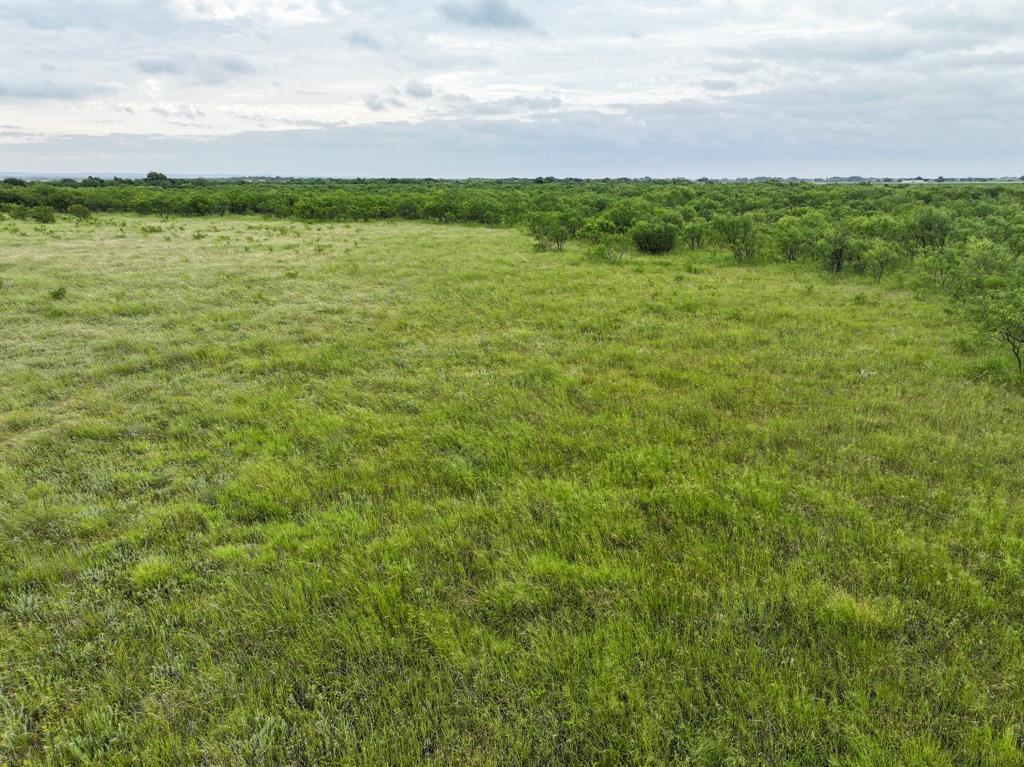 189 Badger Den Property Photo 5