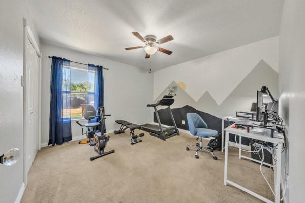 4808 Misty Meadow Drive Property Photo 21