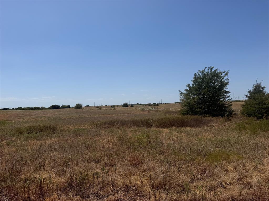 Tract 13-tbd Fm 677 Property Photo 4