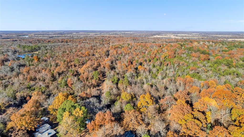 Tbd 197 Property Photo 8