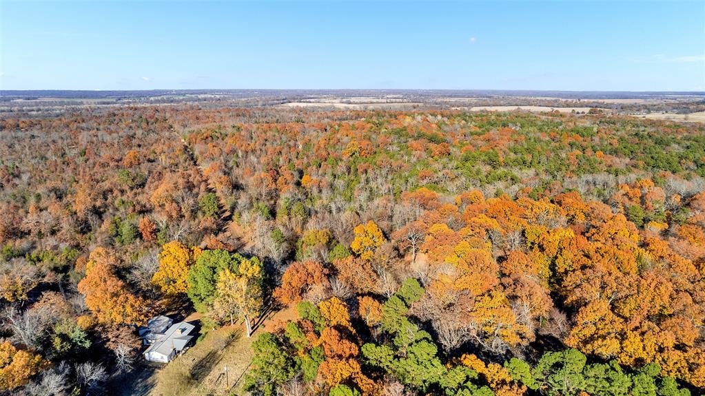 Tbd 197 Property Photo 10