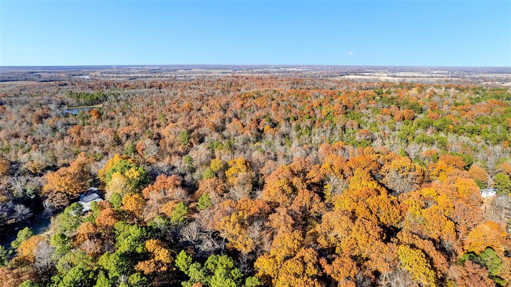 Tbd 197 Property Photo 11