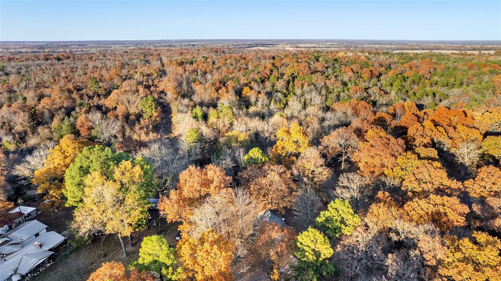 Tbd 197 Property Photo 16