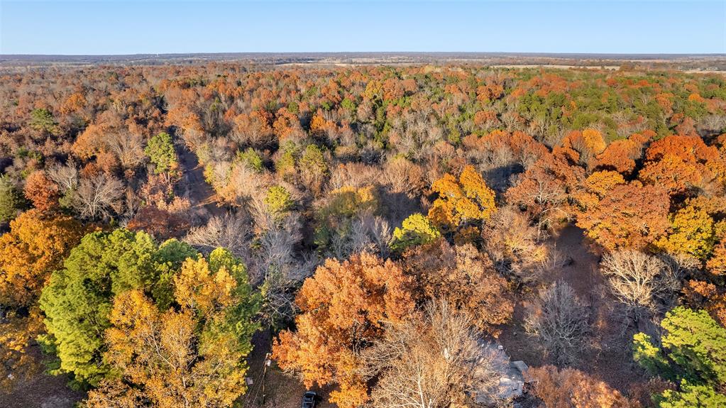 Tbd 197 Property Photo 17
