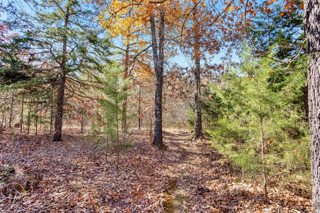 Tbd 197 Property Photo 18