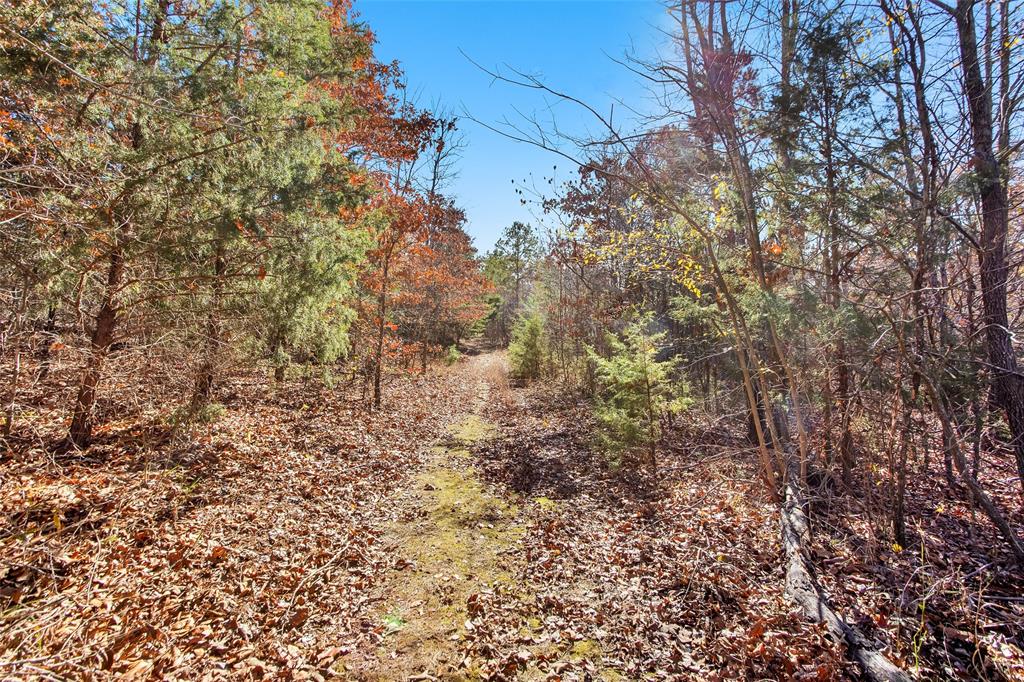 Tbd 197 Property Photo 19