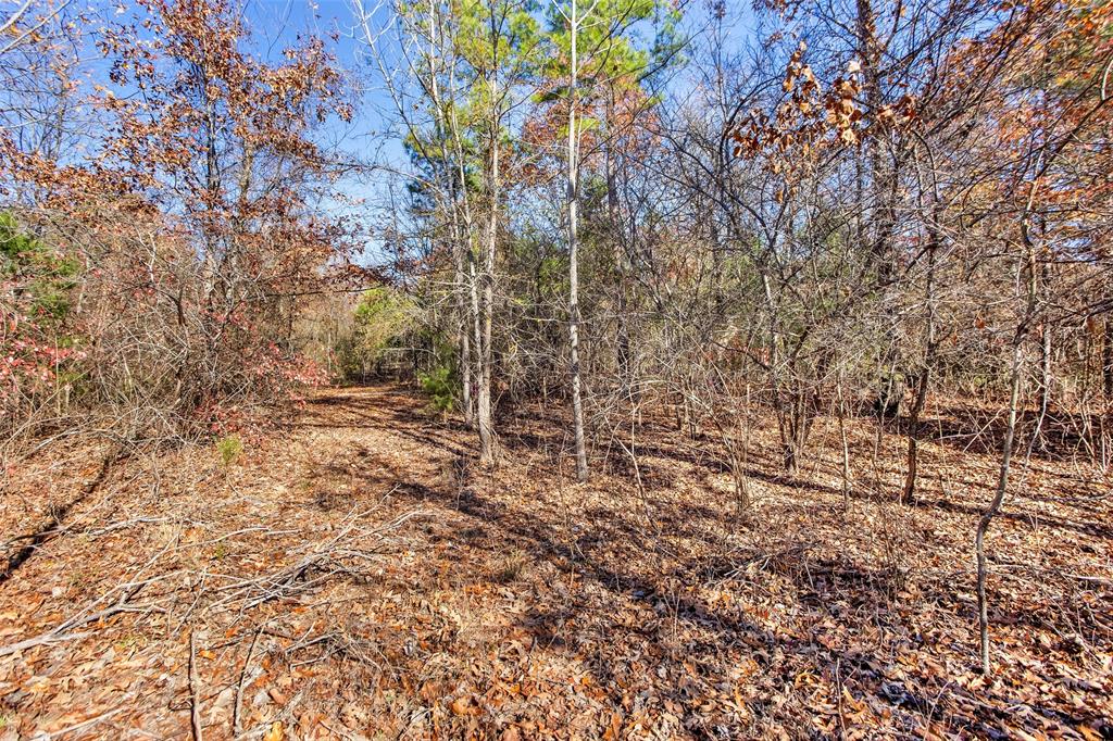 Tbd 197 Property Photo 20