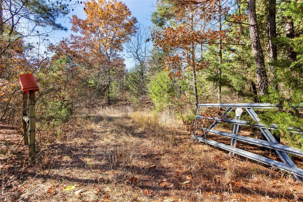 Tbd 197 Property Photo 21