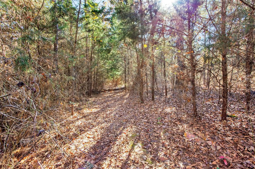 Tbd 197 Property Photo 22