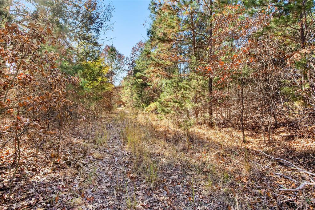 Tbd 197 Property Photo 23