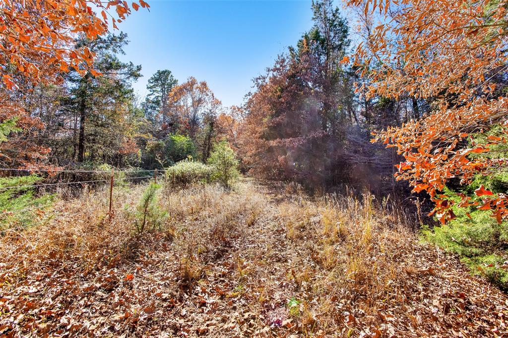 Tbd 197 Property Photo 24