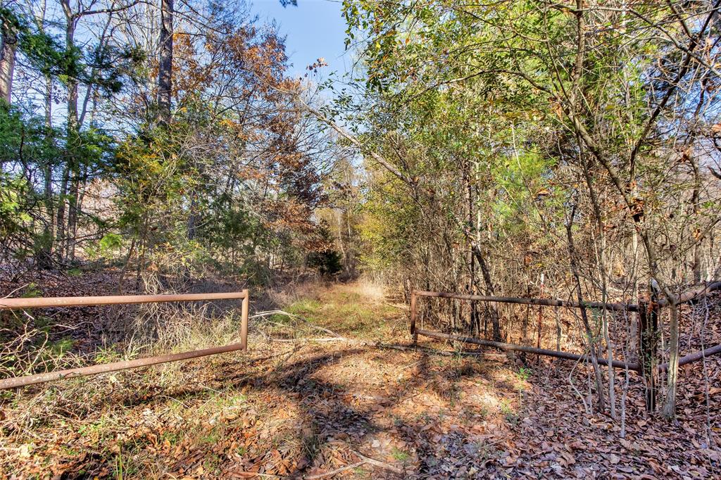 Tbd 197 Property Photo 25