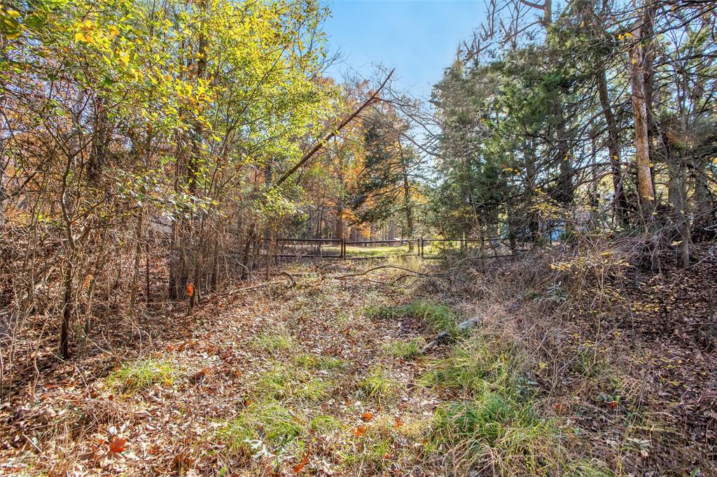 Tbd 197 Property Photo 26