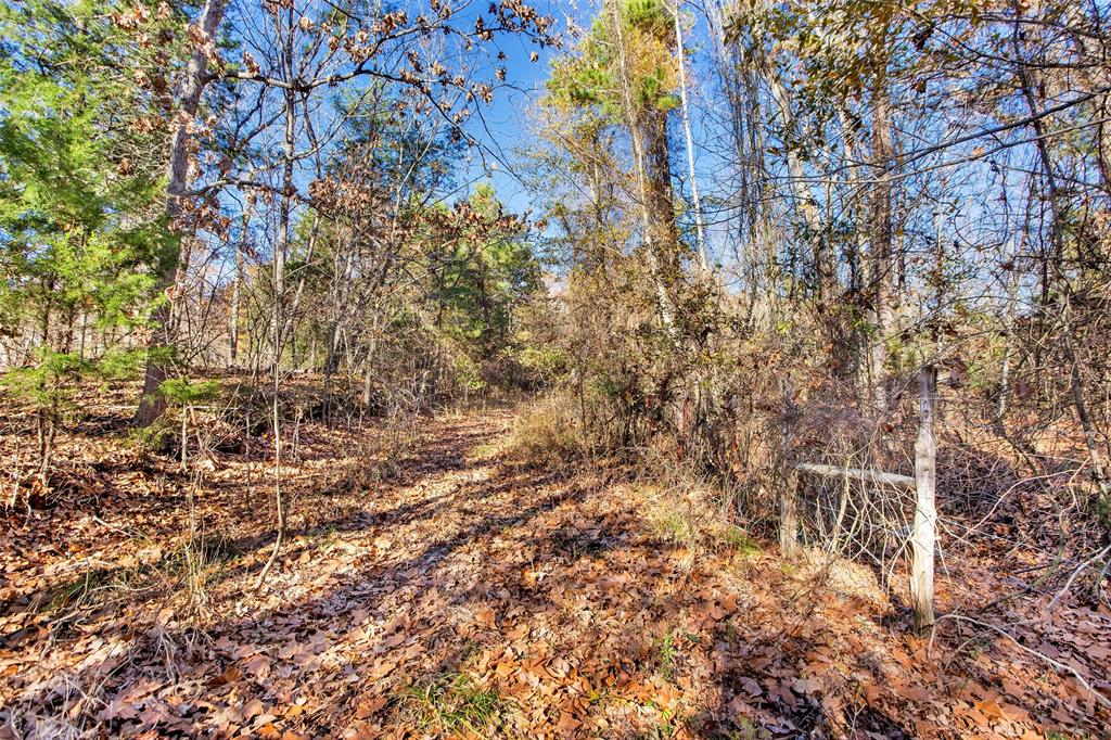 Tbd 197 Property Photo 27