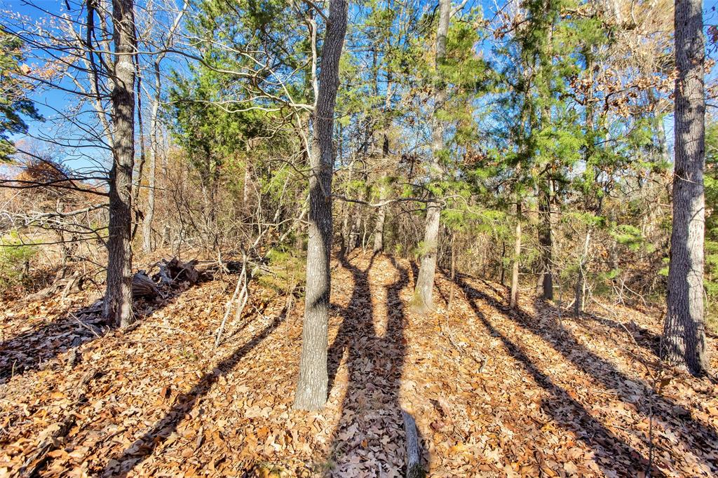 Tbd 197 Property Photo 28