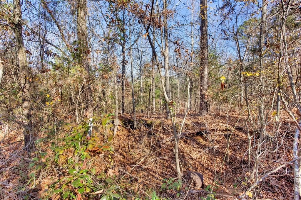 Tbd 197 Property Photo 29