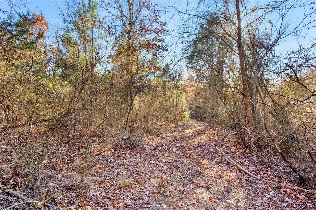 Tbd 197 Property Photo 30