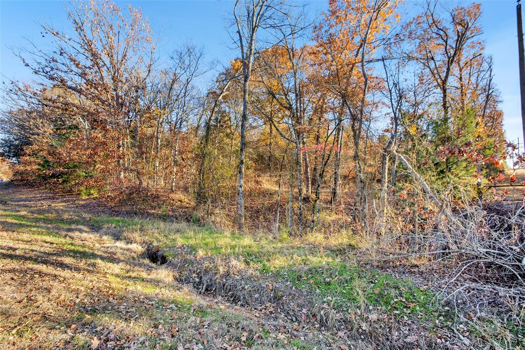 Tbd 197 Property Photo 33