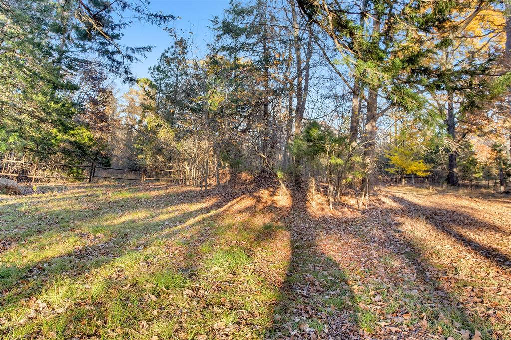 Tbd 197 Property Photo 34