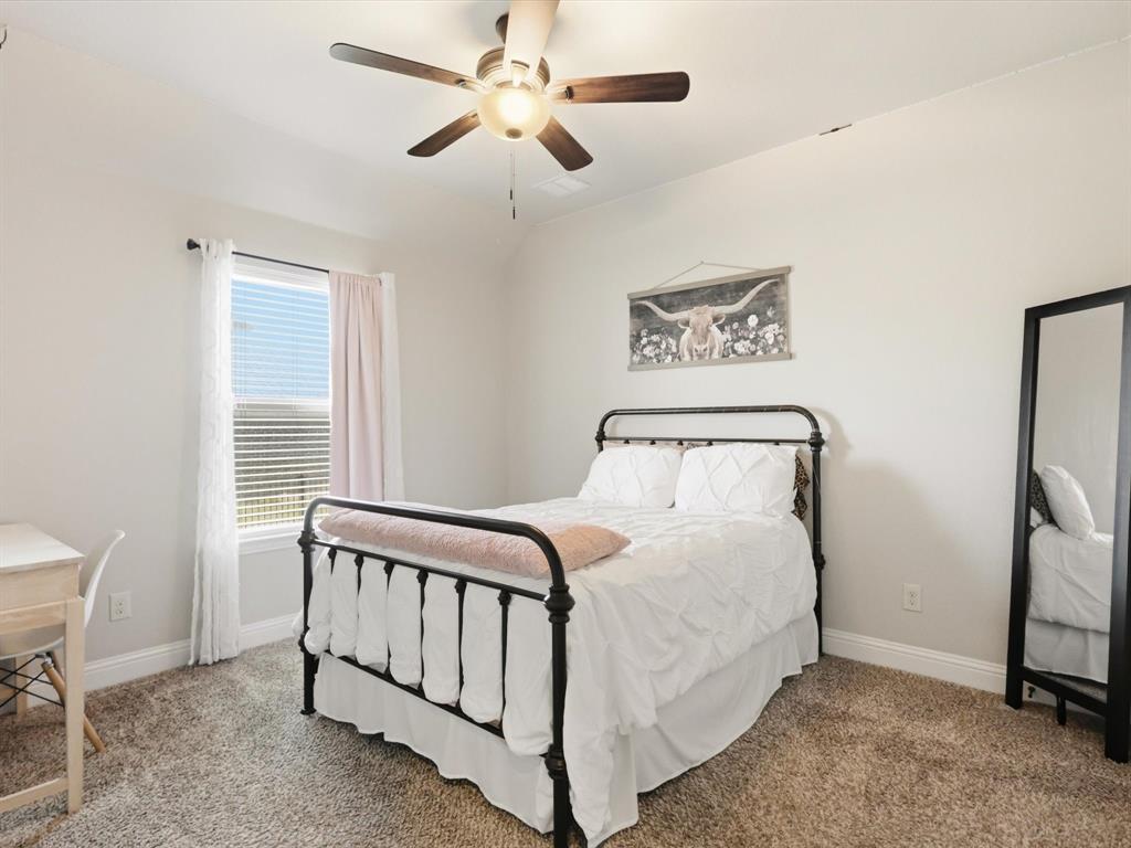 10917 Swift Current Trail Property Photo 19