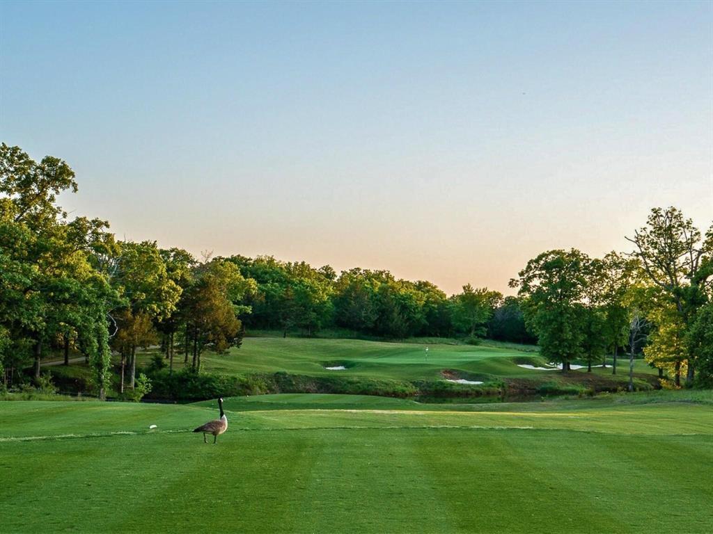 43 La Paloma Circle Property Photo 6