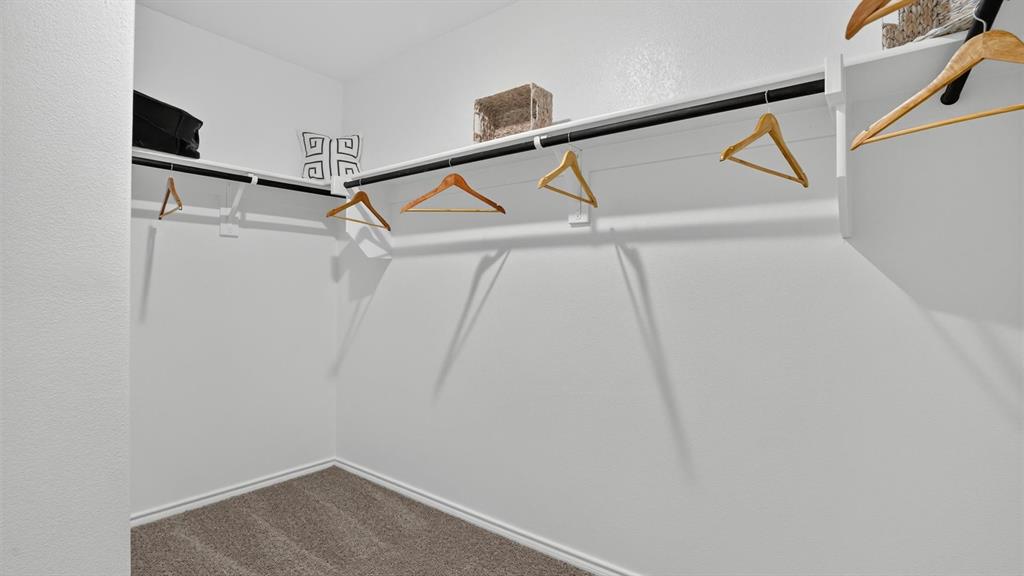 16761 Hudson Prairie Way Property Photo 19