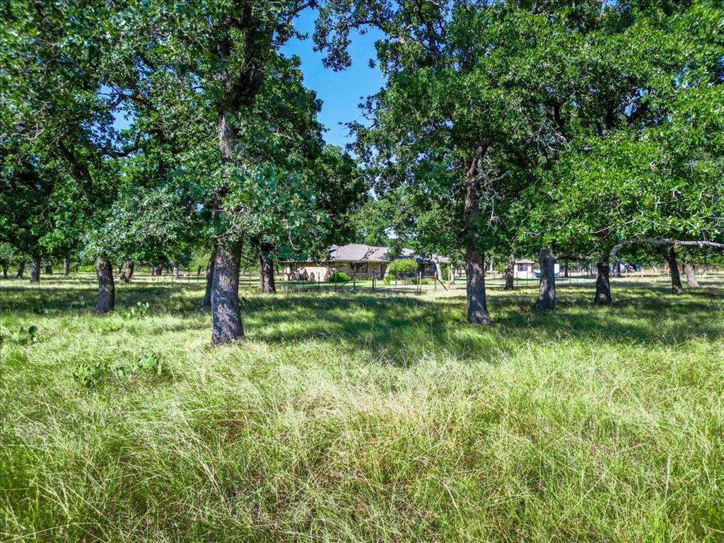 2136 Hayes Road Property Photo 31