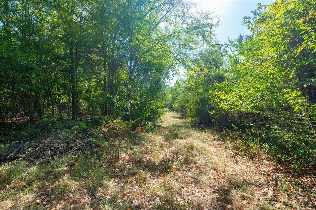 241 County Road 4824 Property Photo 7