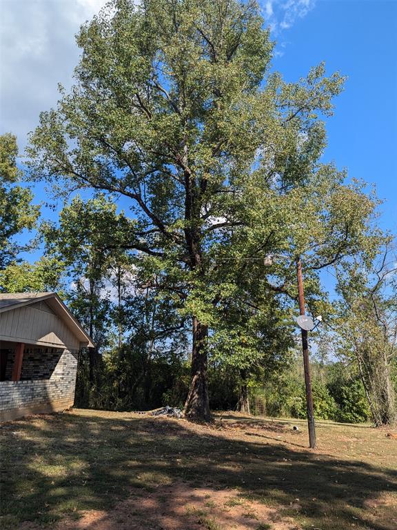 11728 Fm 1399 Property Photo 26