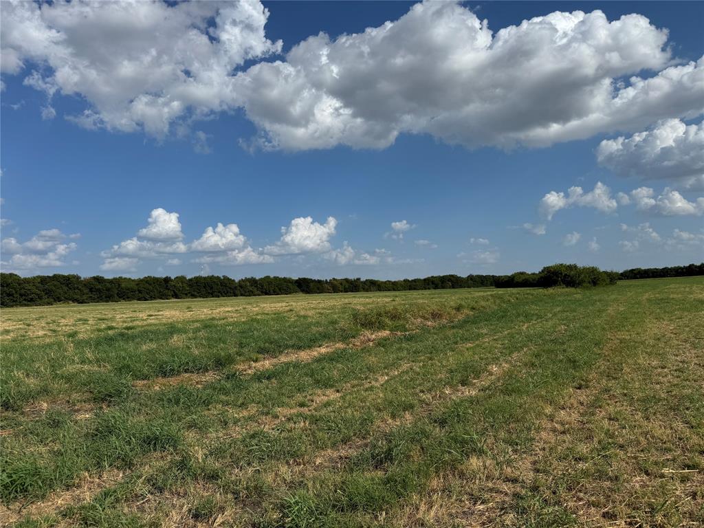 Tract 8, 13.103 Acres County Rd 3700 Property Photo 1