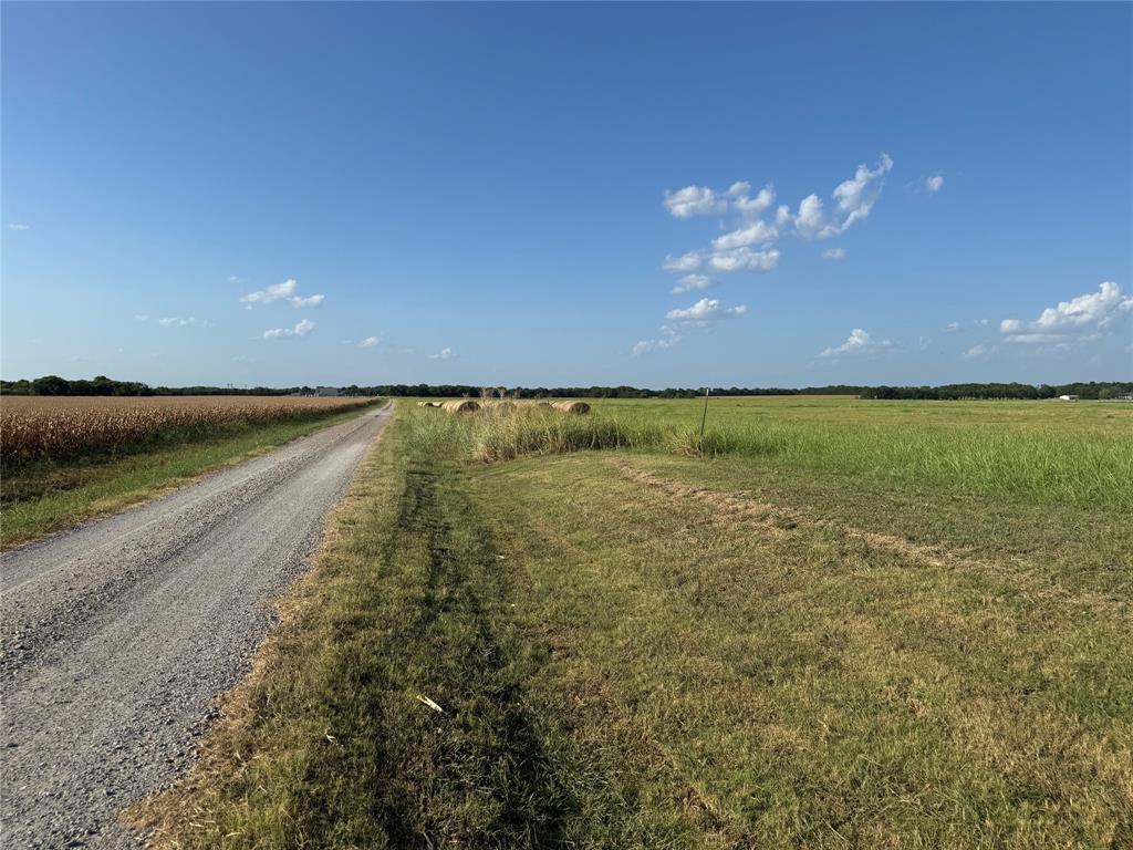 Tract 8, 13.103 Acres County Rd 3700 Property Photo 4