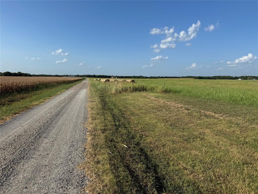 Tract 8, 13.103 Acres County Rd 3700 Property Photo 11