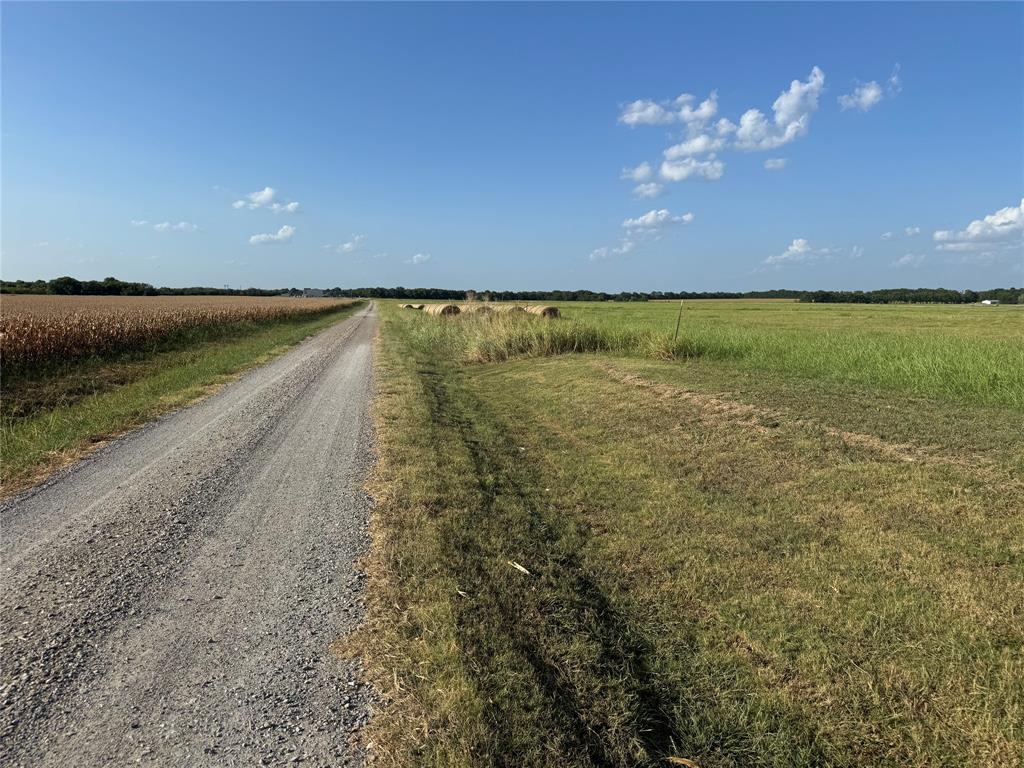 Tract 8, 13.103 Acres County Rd 3700 Property Photo 13